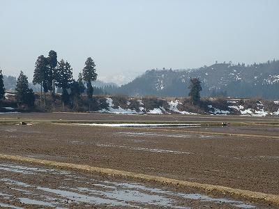 d0015124_9461190.jpg