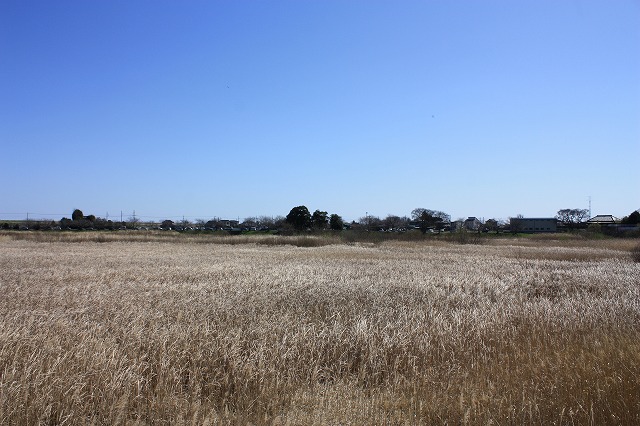 e0162524_17454670.jpg
