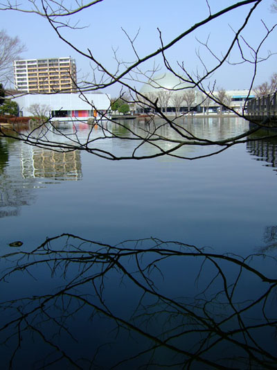 f0147025_18573310.jpg