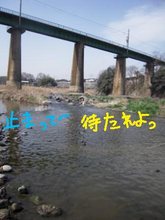 f0176830_19111785.jpg