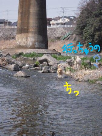 f0176830_19115961.jpg