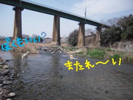f0176830_1911814.jpg