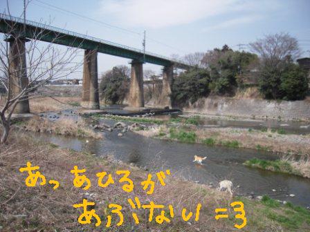 f0176830_196510.jpg