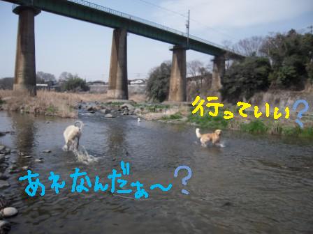 f0176830_1985979.jpg