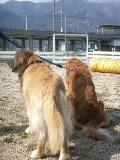 b0127531_017836.jpg