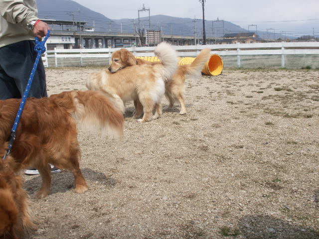 b0127531_091378.jpg