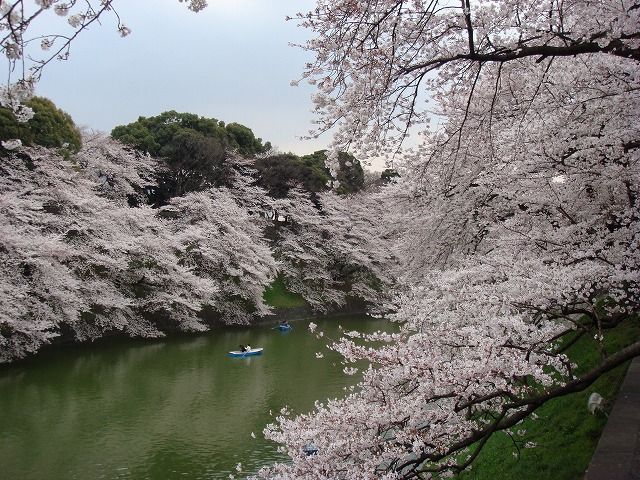 a0046339_2215468.jpg