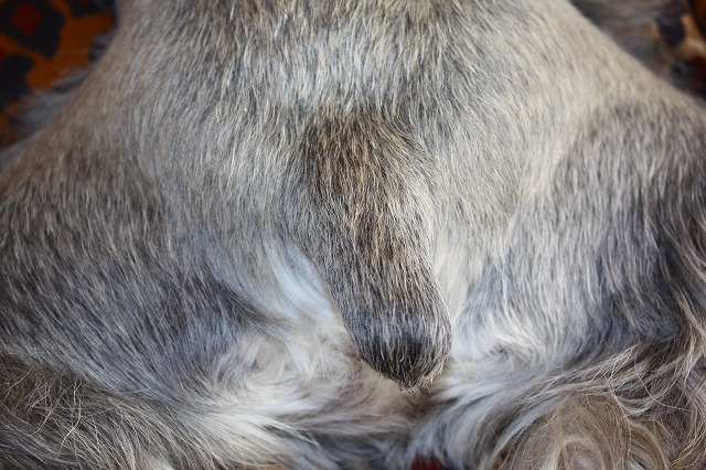 c0153740_6413251.jpg
