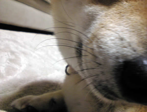 c0181543_23401810.jpg