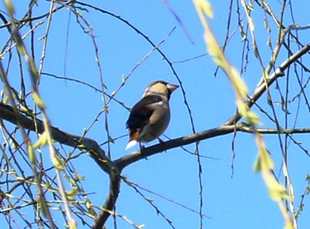 c0122445_1949033.jpg