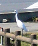 c0122445_19491535.jpg