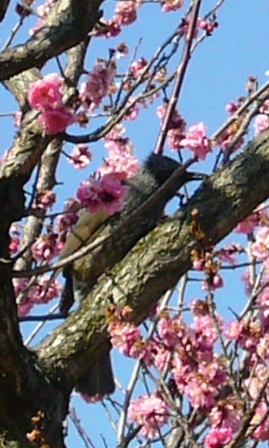 c0122445_1950937.jpg