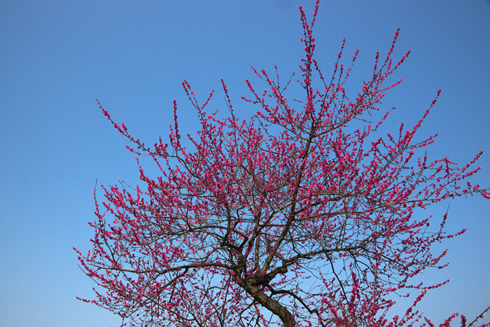 a0003746_17132580.jpg