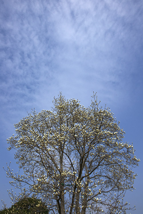 a0003746_17135338.jpg