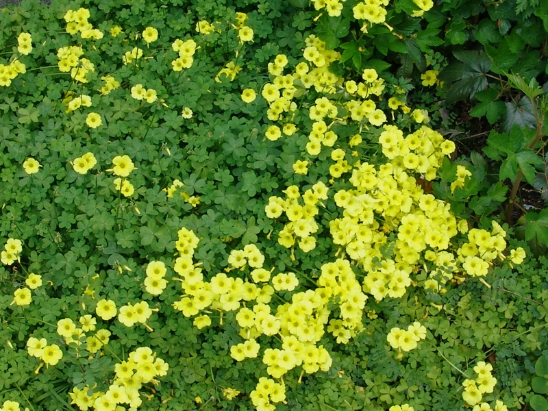 c0189747_22514116.jpg