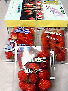 c0121954_083193.jpg