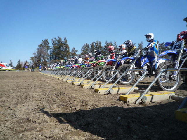 f0144362_2042112.jpg