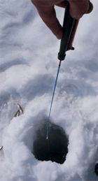 f0163063_13281685.gif