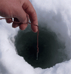 f0163063_13352612.gif