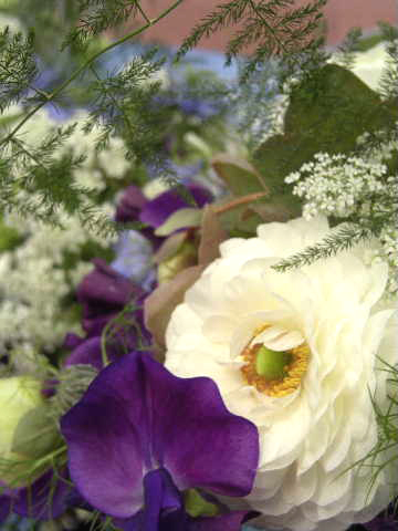 e0086864_217309.jpg