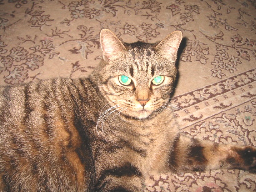 e0031572_1011453.jpg