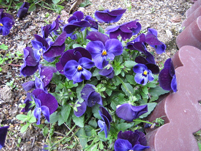 f0003174_14533261.jpg