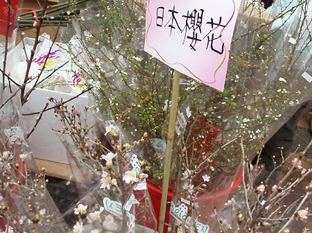 b0092475_20343898.jpg