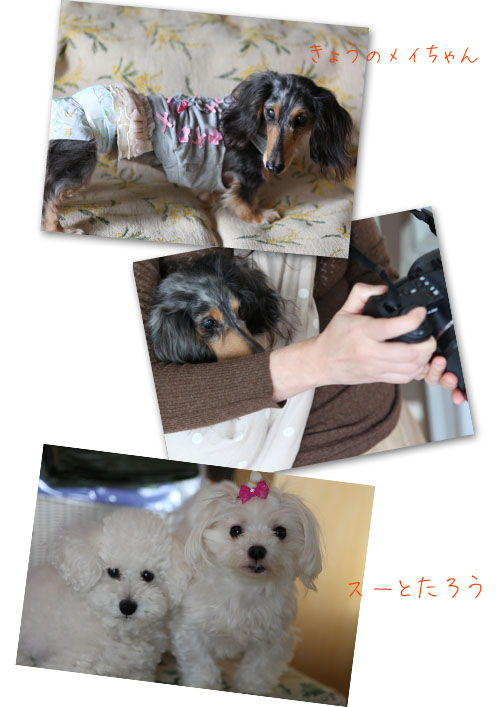 f0127388_2326128.jpg