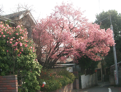 f0022292_0231542.jpg