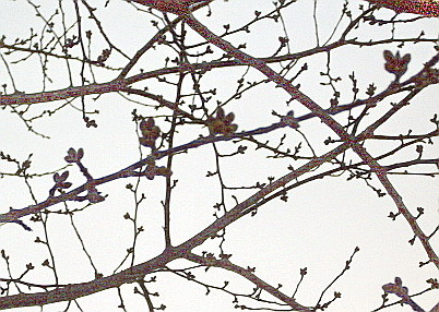 c0138198_23532395.jpg