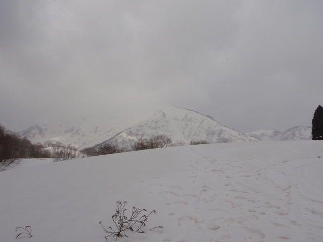 c0147398_2331330.jpg