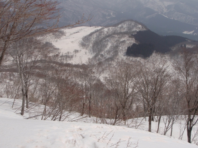 c0147398_23314357.jpg