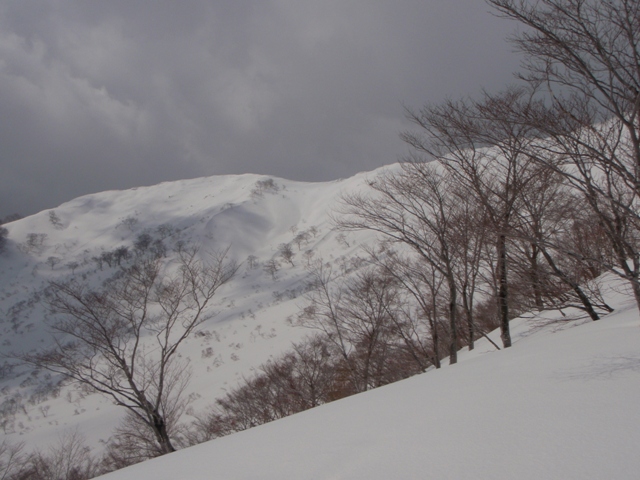 c0147398_2332392.jpg