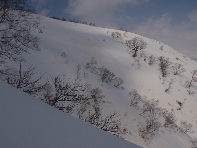c0147398_23325948.jpg