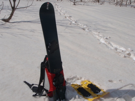 c0147398_233563.jpg
