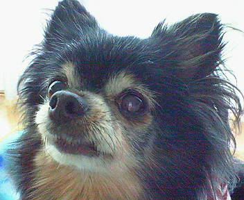 b0160300_21541694.jpg