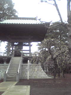 e0131904_1463083.jpg