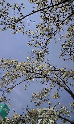 f0092906_0393828.jpg