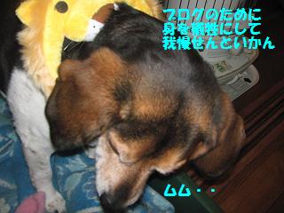 d0104209_2384414.jpg
