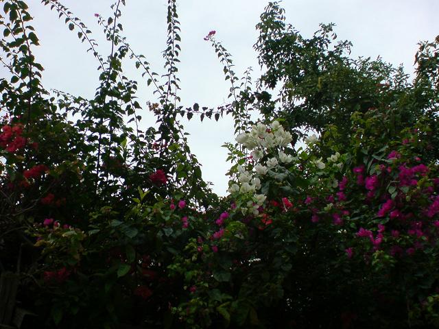 a0074110_031541.jpg