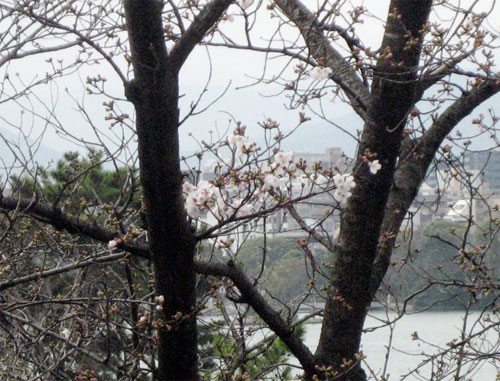 c0114110_22122949.jpg