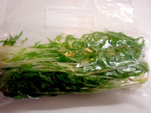 f0043911_0154281.jpg