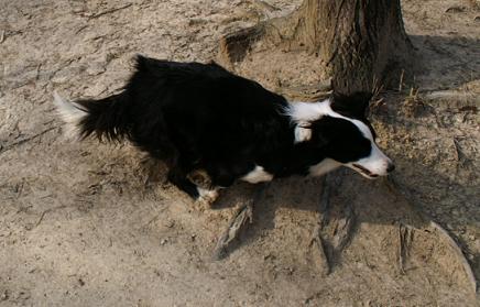 c0181414_2224757.jpg