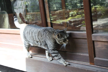 e0156015_9161332.gif