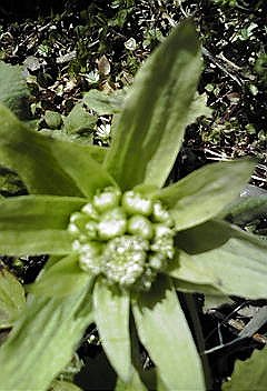 c0145016_093286.jpg