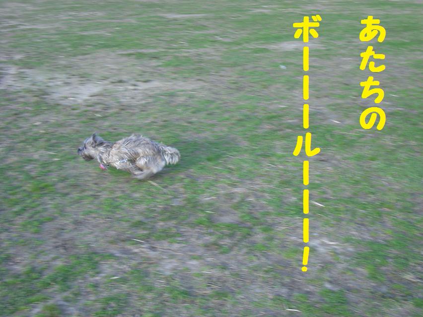 d0127716_2319198.jpg