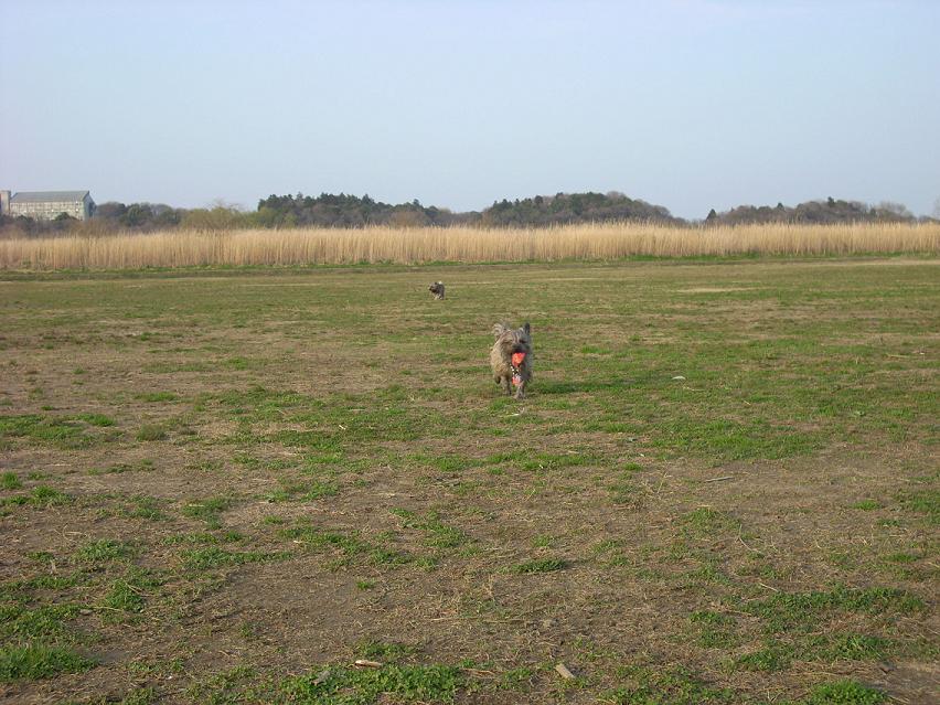 d0127716_23194251.jpg