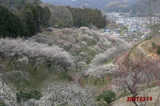 e0117318_23134553.jpg