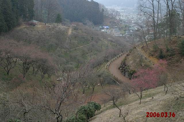 e0117318_23141064.jpg