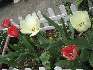 f0139520_20534080.jpg